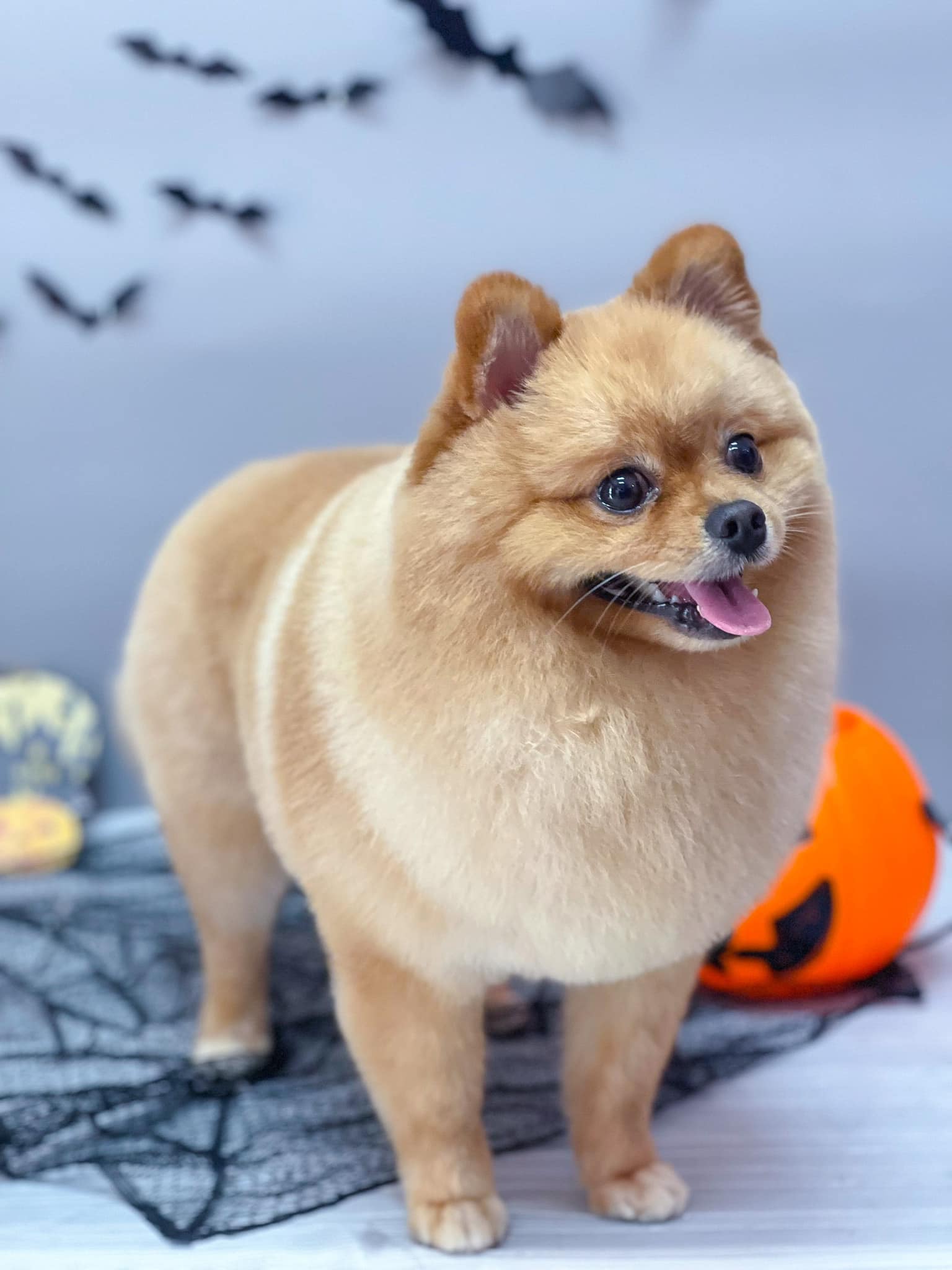 tuongtac.baobinhphuoc.com.vn